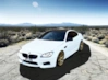 TT BT user avatar