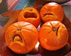 shimshimhada user avatar
