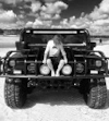 E55 Bulldog user avatar