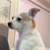 dfc888 user avatar